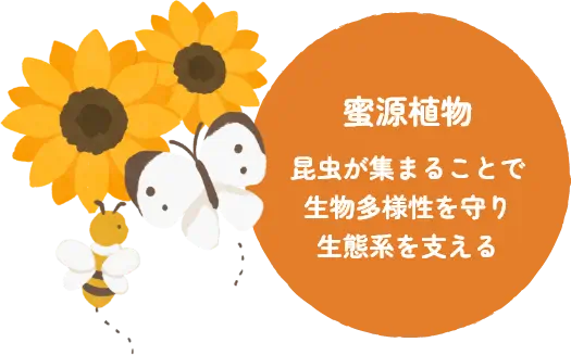 蜜源植物