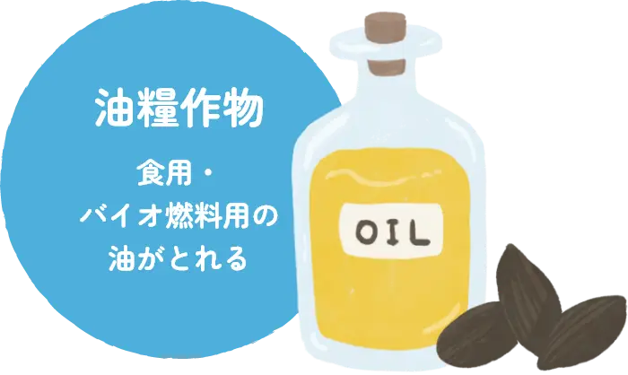 油糧作物